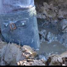 MuddySideUp: Muddy Dark Blue Wellies03