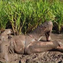 custardcouple: Muddy In Ankle Socks and Grey Slacks