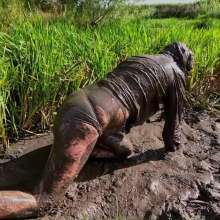 custardcouple: Muddy In Ankle Socks and Grey Slacks