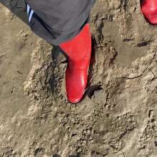 MuddySideUp: Muddy Red Hunters04