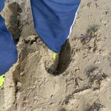 MuddySideUp: Muddy Yellow Nike Mercurial's 02