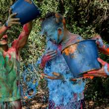 Polarwet: Paint Fight