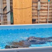 WAM Photography: Maryna Dives for Her Mobile