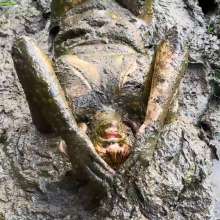 Lyndra Lynn: Swamp Mud Masturbation