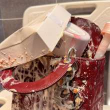 Michele Choo: when my Christian Dior bag bebecome a garbage bin