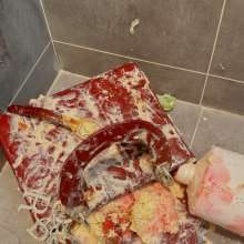 Michele Choo: when my Christian Dior bag bebecome a garbage bin