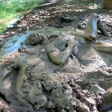 TannerQS: 1 Hour a Mud Slave