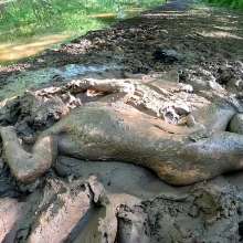 TannerQS: 1 Hour a Mud Slave