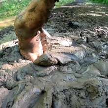 TannerQS: 1 Hour a Mud Slave