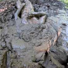 TannerQS: 1 Hour a Mud Slave