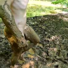 TannerQS: 1 Hour a Mud Slave