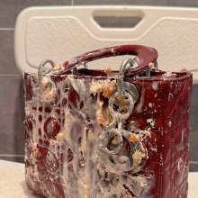 Michele Choo: when my Christian Dior bag bebecome a garbage bin