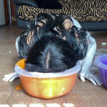 Wam Bagheera Studio: A Very Hot and Messy Kitten in Halloween; Patty Gets Wild