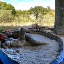Wampirate: Breakout muddy fun