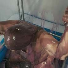 CheekyLuna: CheekyLuna's Pink Lingerie Gunge Tank Wand Ride