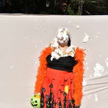 JD and Messy Andi: Happy Halloween!