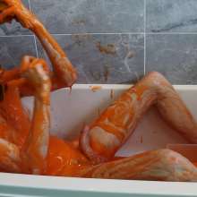 JustinGetsMessy: Justin's Gunge and Dildo Fun