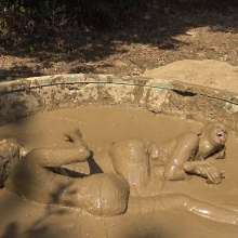 Jayce: Kentucky Girls Mud Wrastlin' Tit for Tat!
