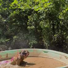 Jayce: Kentucky Girls Mud Wrastlin' Tit for Tat!