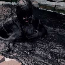 QS4Ever: Luna Lee in Black Tar