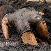dlodoski: Monique Exploring a Peat Pit with Drama, Ultimate Edit--Photos