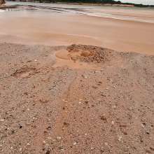 TannerQS: Orange Juice Mud