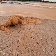 TannerQS: Orange Juice Mud
