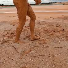 TannerQS: Orange Juice Mud
