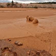 TannerQS: Orange Juice Mud