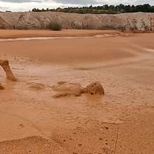 TannerQS: Orange Juice Mud