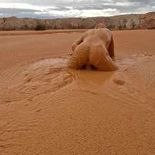 TannerQS: Orange Juice Mud