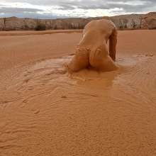 TannerQS: Orange Juice Mud
