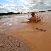TannerQS: Orange Juice Mud