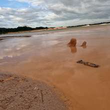 TannerQS: Orange Juice Mud