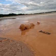 TannerQS: Orange Juice Mud