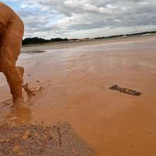 TannerQS: Orange Juice Mud