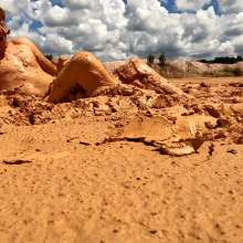TannerQS: Tanner Gets Freaky in the Mud (POV Facial)