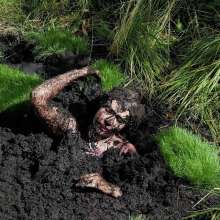 QS4Ever: Tiny Soya in Emerald Grass Bog