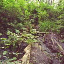 Muddy1999: Mud Fun in Port Orchard, WA