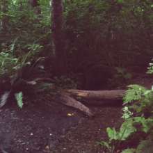 Muddy1999: Mud Fun in Port Orchard, WA