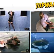 wamtec: Topwam latest wetlook updates