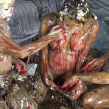 Jayce: 3 Girl-Never Ending-All You Could Want-Crazy Messy Sesh!