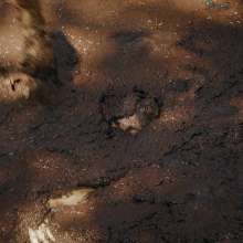 QS4Ever: Angel in Quaking Mud