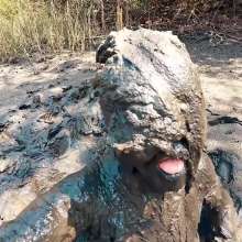 TannerQS: Boiling Tidal Mud Play