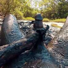 TannerQS: Boiling Tidal Mud Play