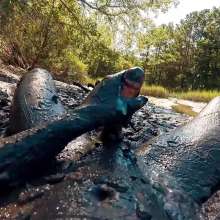 TannerQS: Boiling Tidal Mud Play
