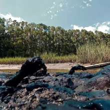 TannerQS: Boiling Tidal Mud Play