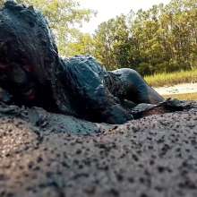 TannerQS: Boiling Tidal Mud Play
