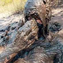 TannerQS: Boiling Tidal Mud Play