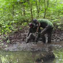 Messy Dogs: Exploring the Sloppy Ditch